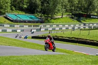 cadwell-no-limits-trackday;cadwell-park;cadwell-park-photographs;cadwell-trackday-photographs;enduro-digital-images;event-digital-images;eventdigitalimages;no-limits-trackdays;peter-wileman-photography;racing-digital-images;trackday-digital-images;trackday-photos